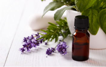 I am an Article Title Four