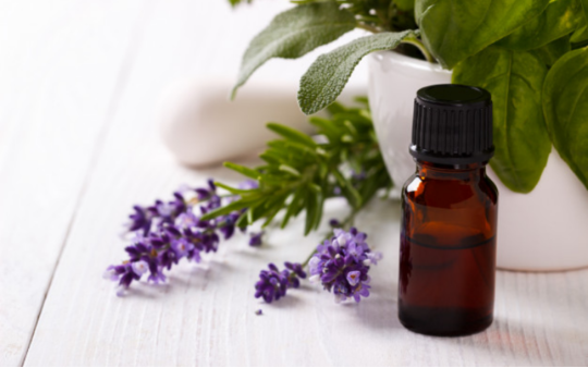 I am an Article Title Four